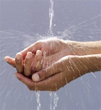 Wash hands