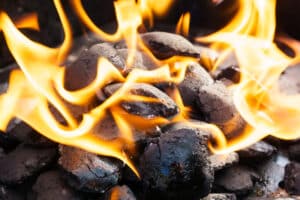 Gas and Charcoal BBQ Comparison
