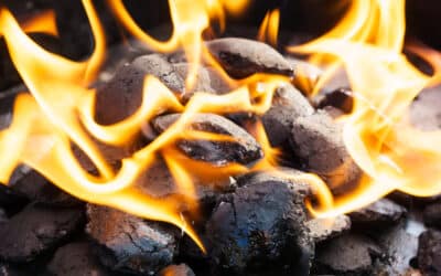 BBQ – Gas and Charcoal BBQ Features – Charcoal BBQ vs Gas BBQ Comparison