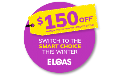 2025 Winter promo $150