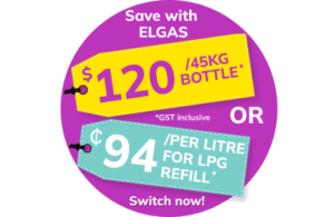 Tas Gas Network Offer