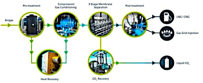Biogas Production