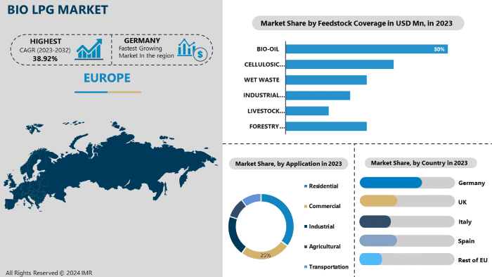 BioLPG Market Statistics